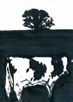 "Black & White Cow" by Mary Heinze, Portage WI - Watercolor - SOLD